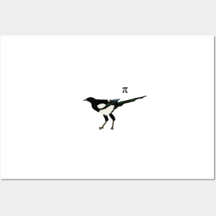 Mathematical Magpie with pi symbol Posters and Art